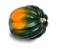 Nutritious winter squash with good fiber