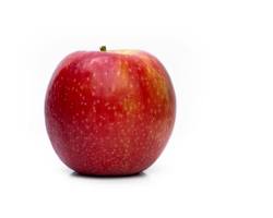 Common fruit with moderate nutrition
