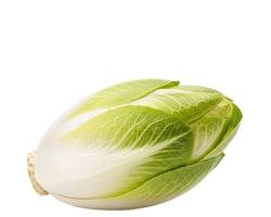 A mild slightly bitter leafy green