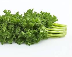 Popular dark leafy green with moderate goitrogens