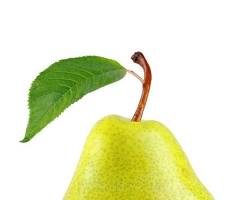 Mild fruit similar to apple