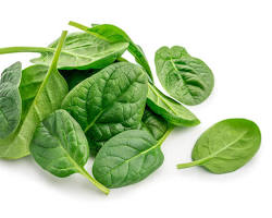 Dark leafy green with high oxalate content