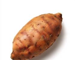 Nutrient-dense root vegetable high in vitamin A